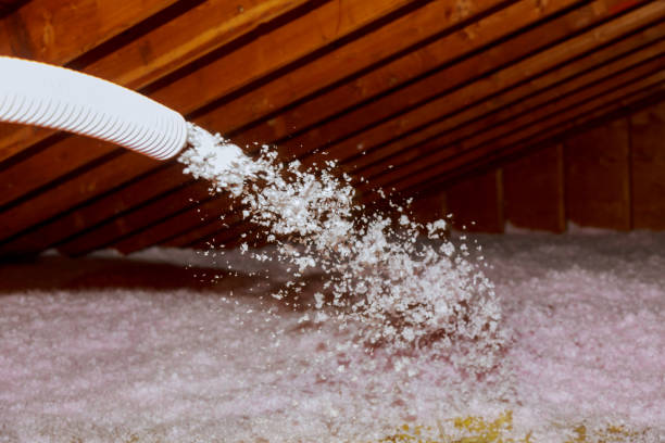 Best Blown-in Insulation in Johnson Lane, NV