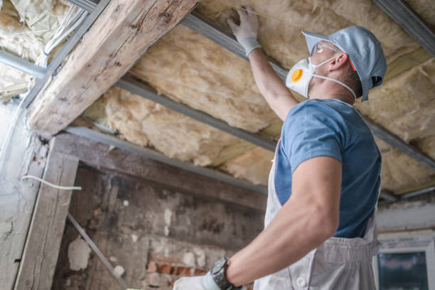 Best Energy Efficiency Insulation in Johnson Lane, NV