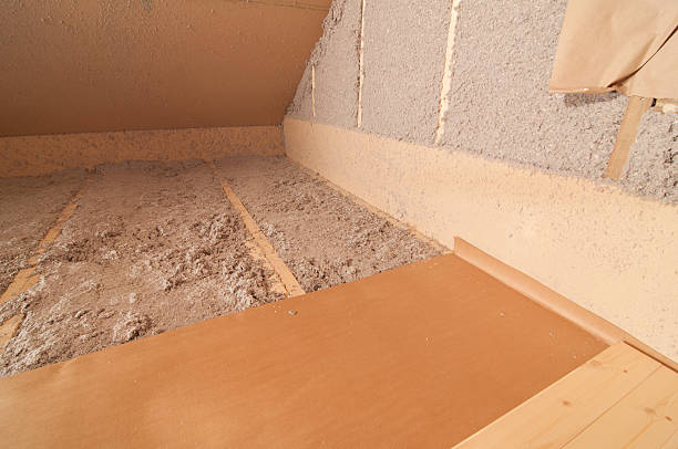 Best Eco-Friendly Insulation in Johnson Lane, NV