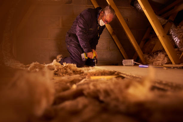 Best Commercial Insulation in Johnson Lane, NV